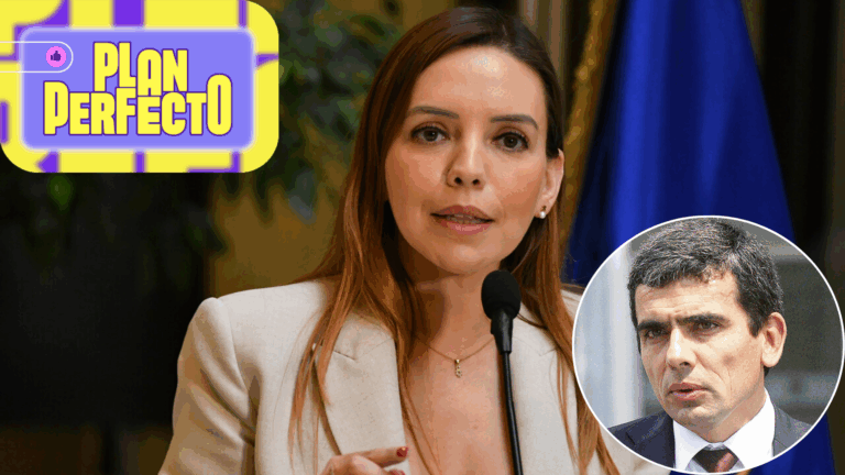 Exfiscal analizó cuándo podrían dictar el desafuero de Camila Flores por Caso Flores: “Es cosa de meses”