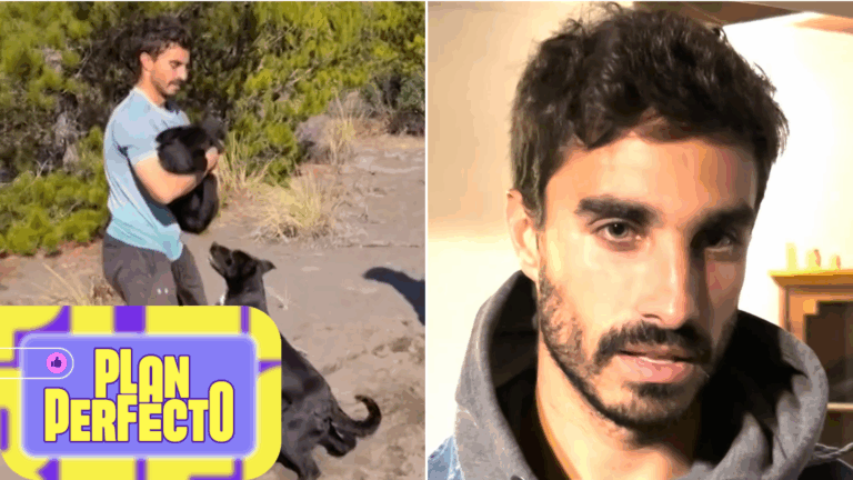 Profesor de Cobquecura se volvió viral por su adopción de perritos: Habría rechazado dos ofertas a realities
