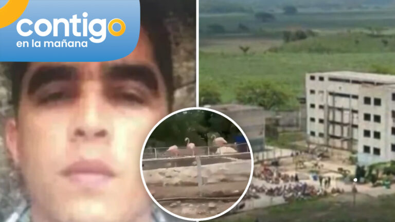 Con zoológico y discoteque incluidos: “Niño Guerrero” montó “resort carcelario” al interior de la prisión