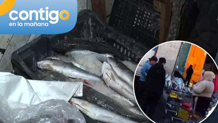 Retiran más de mil kilos de pescado en mal estado: Comerciantes los venden ilegalmente en la vía pública