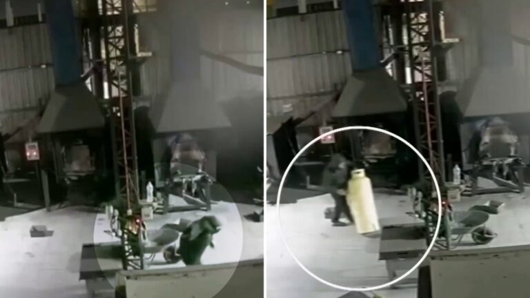 VIDEO | Indignante robo: Delincuentes se llevaron cuerpos de perritos que iban a ser incinerados en Lampa