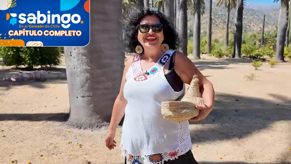 ¡Sabrosos emprendimientos! | Sabingo | Capítulo 13 de junio