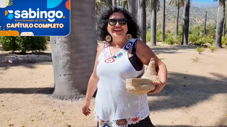 ¡Sabrosos emprendimientos! | Sabingo | Capítulo 13 de junio