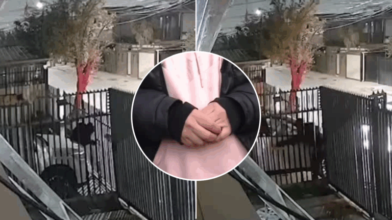 Violento turbazo a familia en Puente Alto: Delincuentes exigían dinero y amenazaron con 