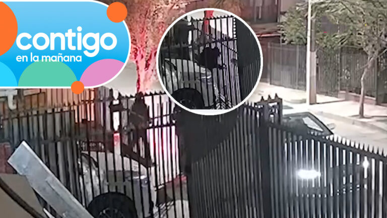 Gritos desgarradores: Revelan video del violento turbazo que sufrió matrimonio y sus dos hijas en Puente Alto