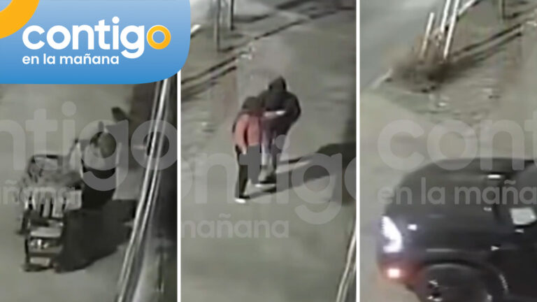 VIDEO | Así actuaron los antisociales que robaron 18 vehículos desde automotra en San Joaquín