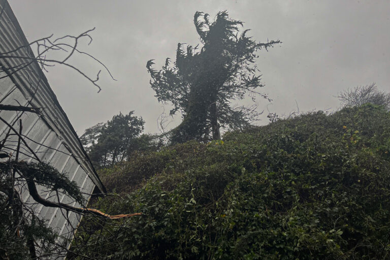 ¿Qué es el viento puelche? El fenómeno que ha provocado rachas de hasta 100 kilómetros por hora
