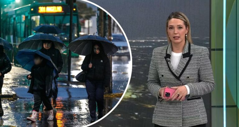 Alerta por temporal en la zona central: Allison Göhler advierte hasta 110 mm de lluvias para esta semana