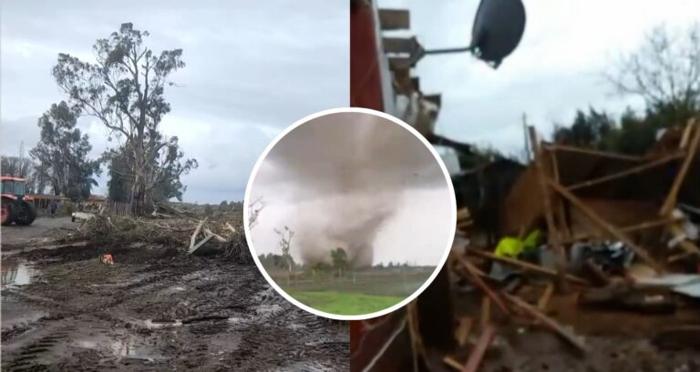 VIDEOS | Registran daños que dejó tornado tras su paso por Bulnes: Arrancó árboles y destruyó viviendas