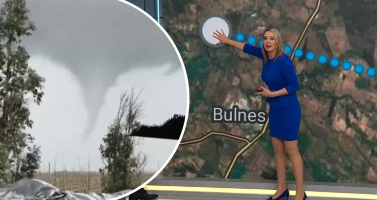 Allison Göhler explica cómo se originó el tornado que remeció a Ñuble: 