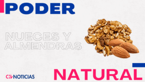 VIDEO | Antioxidantes y altas en omega 3: El poder natural de las nueces y almendras