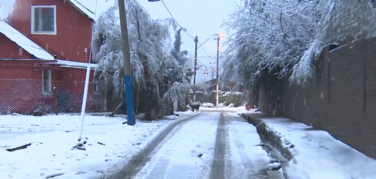 Minuto a minuto | Intensa nevazón se registra a esta ahora en el Cajón del Maipo