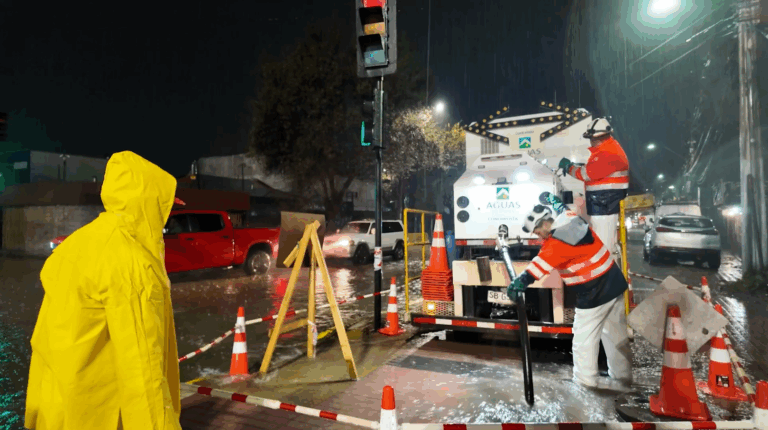 Macabro hallazgo en Puente Alto: Encuentran sacos con cabezas de caballo en el alcantarillado