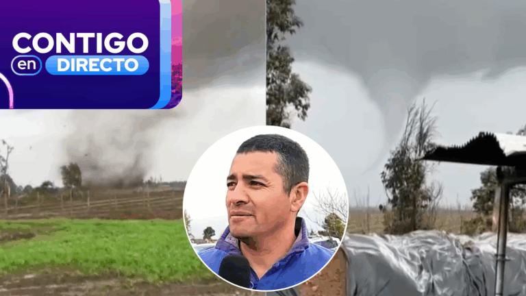 “Estoy en shock todavía”: Padre de familia relató cómo reaccionaron ante fuerte tornado en Bulnes