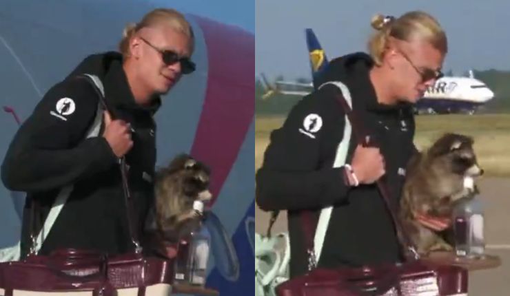 La última locura de Erling Haaland que se hizo viral: Aterrizó en Noruega con un mapache disecado