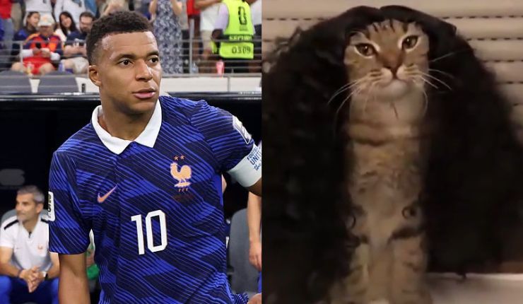 De Lamine Yamal a gatos: Kylian Mbappé se llevó todos los memes tras derrota de Francia ante España