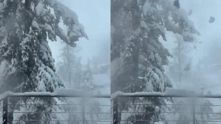 VIDEO | Las postales que deja la nieve en Farellones durante el sistema frontal