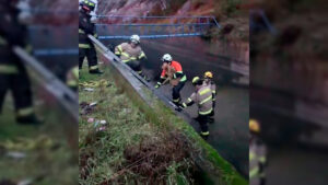 Perrito quedó atrapado en un canal cerca de la represa de Colbún y Bomberos logró rescatarlo