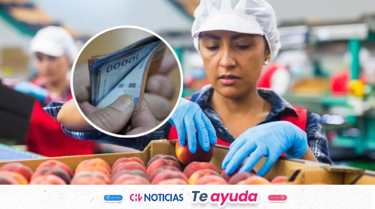 Inminente pago anual del Bono al Trabajo de la Mujer: Qué hacer para recibir los $678 mil en agosto