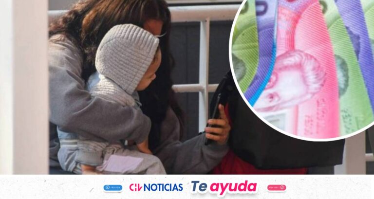Bono por hijo 2026: Revisa con tu RUT si obtienes en julio el beneficio para madres