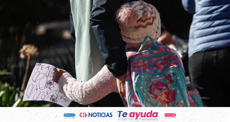 Nuevo Bono por Hijo 2026: Revisa con tu RUT si calificas en el Registro Social de Hogar