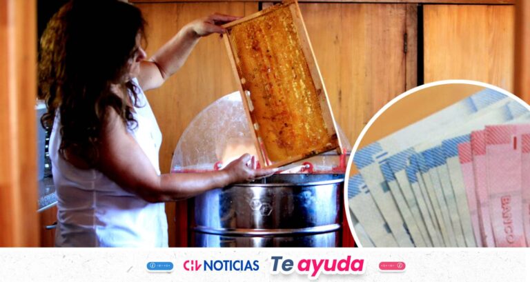 Último llamado: Mujeres emprendedoras reciben hasta $3,5 millones si cumplen cuatro requisitos