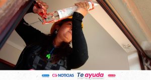 Pago anual al Bono al Trabajo de la Mujer: Este es el requisito que debes cumplir para recibir hasta $678 mil