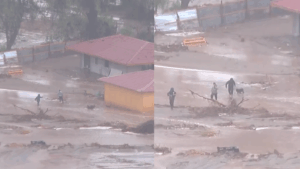 VIDEO | Captan heróico rescate de perritos en casa inundada en Ovalle por lluvias