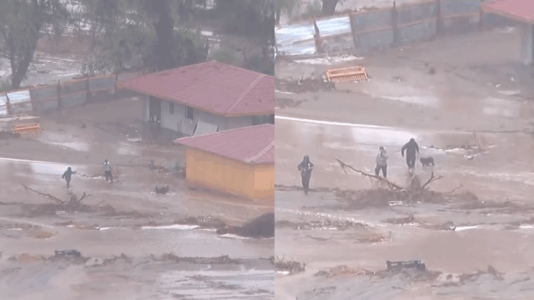 VIDEO | Captan heróico rescate de perritos en casa inundada en Ovalle por lluvias
