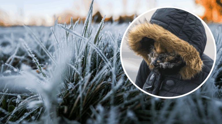 Hasta -19°: DMC emite alarma por 