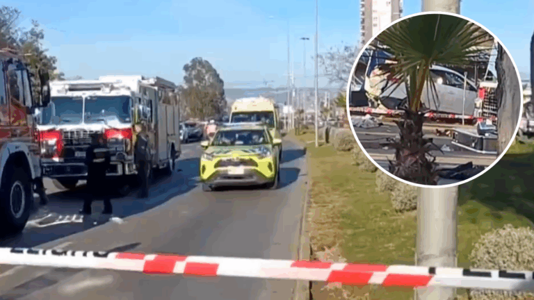 “Se veía venir”: Testigo revela peligro en feria Caupolicán de Viña del Mar tras fatal atropello