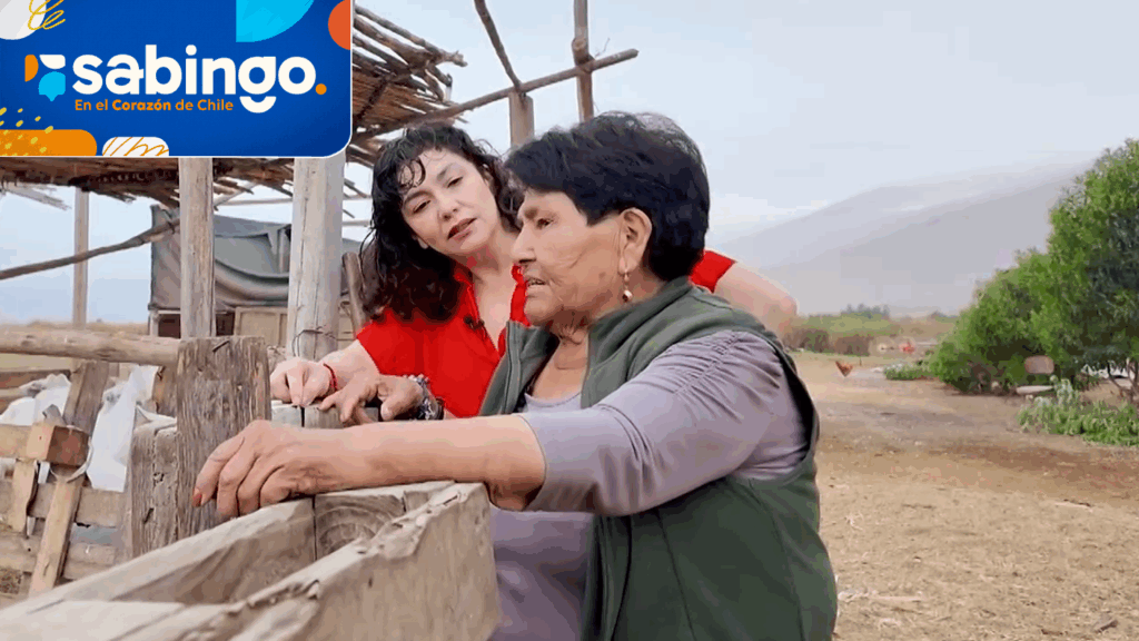 Tamara Acosta aprendió a tejer con hojas de totora y choclo | El valor de Chile | Sabingo