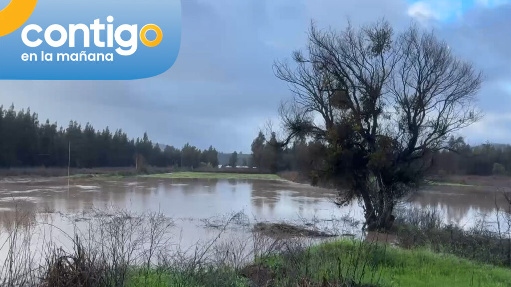 Alerta en Licantén por desborde del río Mataquito: Senapred solicita evacuación preventiva