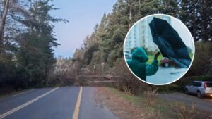 Emergencia por sistema frontal: Declaran alerta por viento 