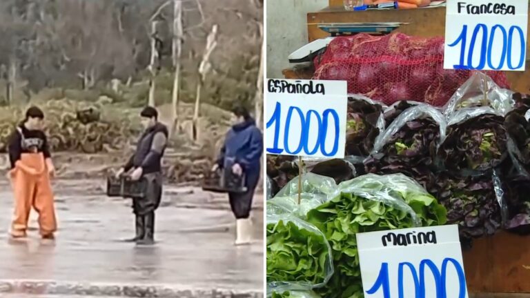 Sistema frontal sigue causando estragos: Vendedores advierten alza de precios en los alimentos por condiciones climáticas