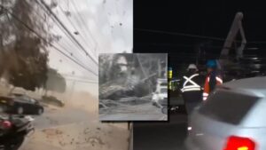 Sistema frontal: Ráfagas de viento derriban árboles y postes en la Región Metropolitana