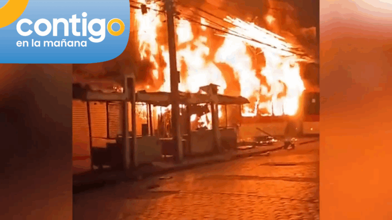 Habrían evadido un control: Lo que se sabe de los cinco fallecidos tras choque e incendio con un bus RED