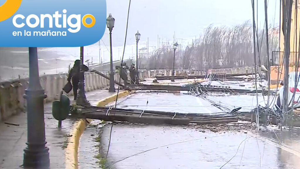Choque derribó cinco postes en Valparaíso: Accidente dejó calle bloqueada y sin suministro eléctrico