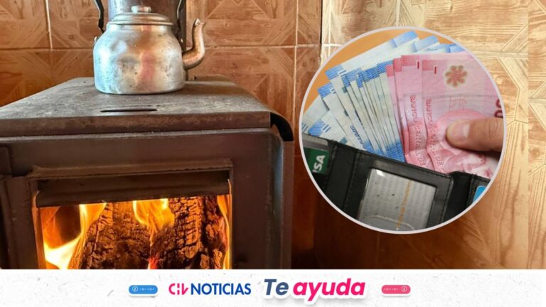 Subsidio a la Calefacción entrega $100.000: Quiénes acceden al beneficio