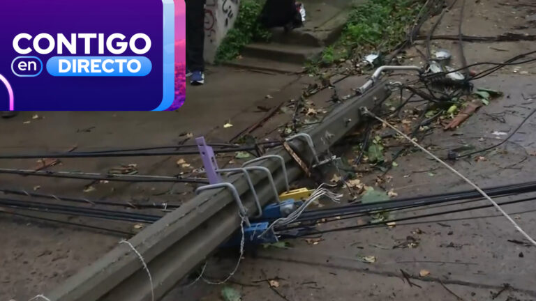 Cinco días sin luz: Caída de poste dejó sin suministro eléctrico a vecinos de Cerro Placeres