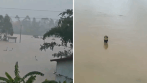 Una pesadilla: Más de 800 serpientes escapan de criadero en medio de inundaciones en China