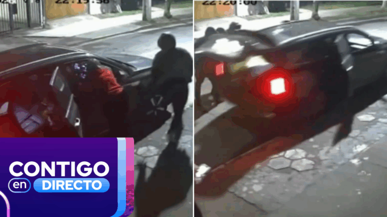 Ola de asaltos preocupa a vecinos de Quilicura: Mujer frustró robo de su auto con sus hijas al interior