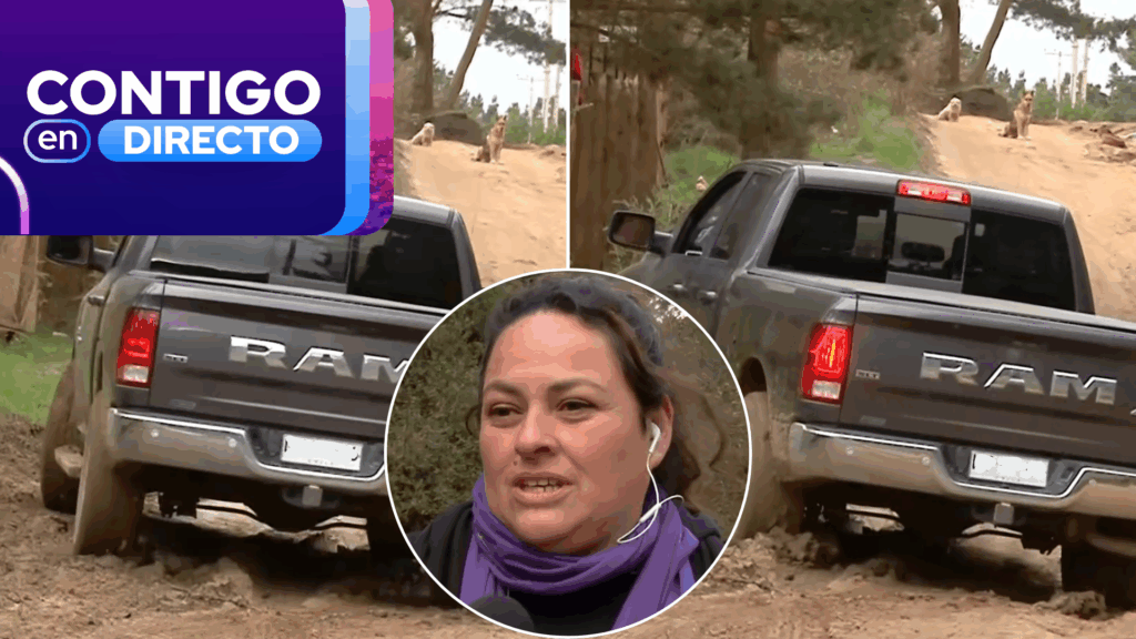 Sistema frontal destruyó caminos y mantiene aislados a vecinos de Laguna Verde: “La tierra ya no da más”