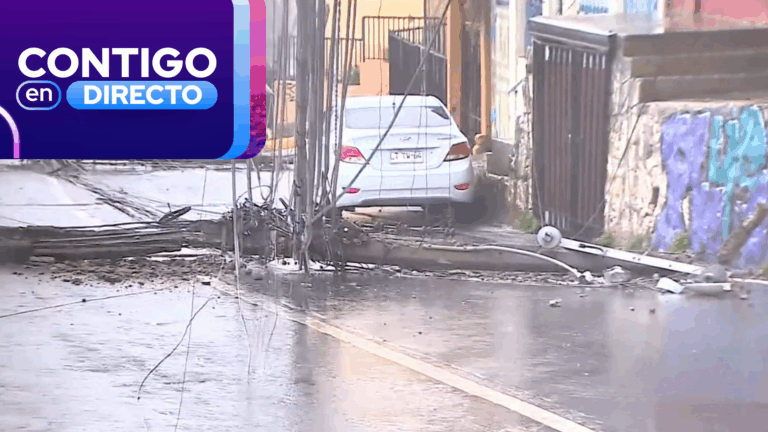 Tras fuertes rafagas de viento en Valparaíso: Continúan trabajos por postes caídos en Cerro Barón