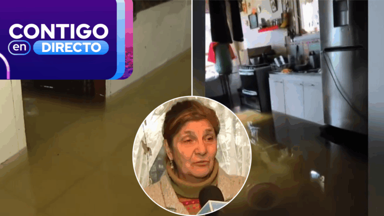 “Somos invisibles”: El crudo relato de familia que debió dormir en el entretecho por crecida de río en Valdivia