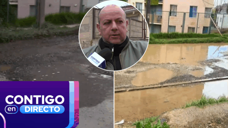 Denuncia de vecinos por calle en mal estado en Viña del Mar se volvió viral: Lleva 15 años sin ser reparada
