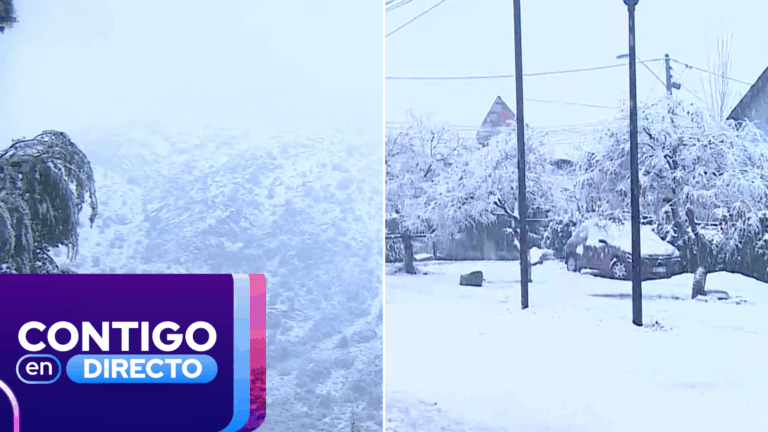 El lado B del sistema frontal: La impresionante postal que dejó la nieve en el Cajón del Maipo