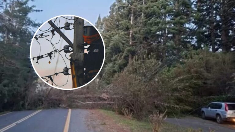 Masivo corte de luz en tres regiones de Chile: Cerca de 80 mil clientes afectados por fuertes vientos