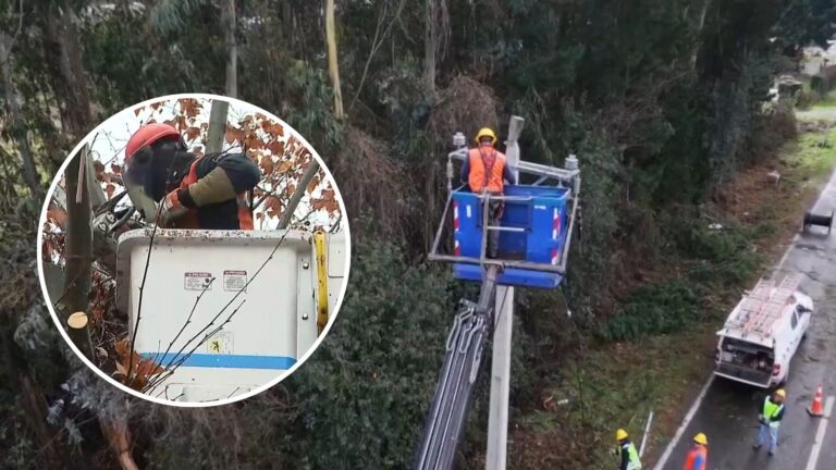 Valparaíso y La Araucanía concentran la mayor cantidad de personas sin luz por sistema frontal: Revisa cómo hacer el reclamo