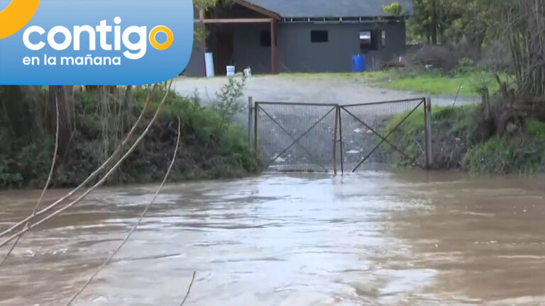 Preocupación por eventual desborde: Declaran alerta roja en comunas del Maule y Biobío por crecida de ríos
